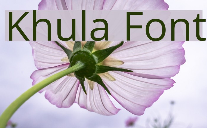 Khula Font examples
