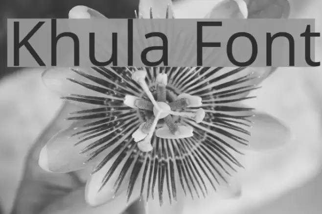 Khula Font examples