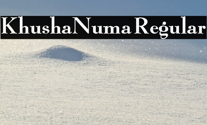 KhushaNuma Regular Example 1
