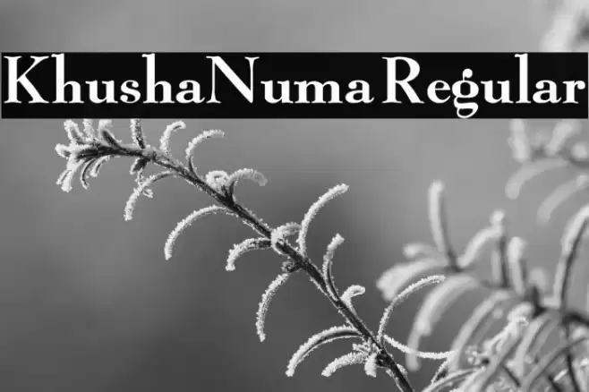 KhushaNuma Regular Font examples