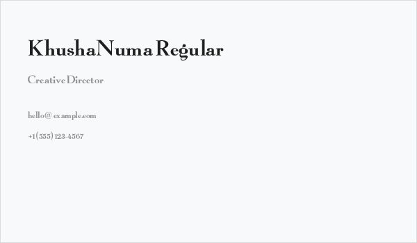 KhushaNuma Regular Business Card