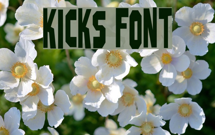 KICKS Font examples