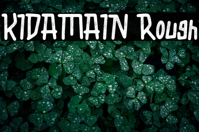 KIDAMAIN Rough Example 2