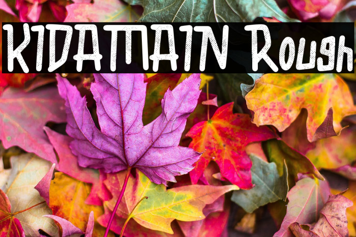 KIDAMAIN Rough Example 3