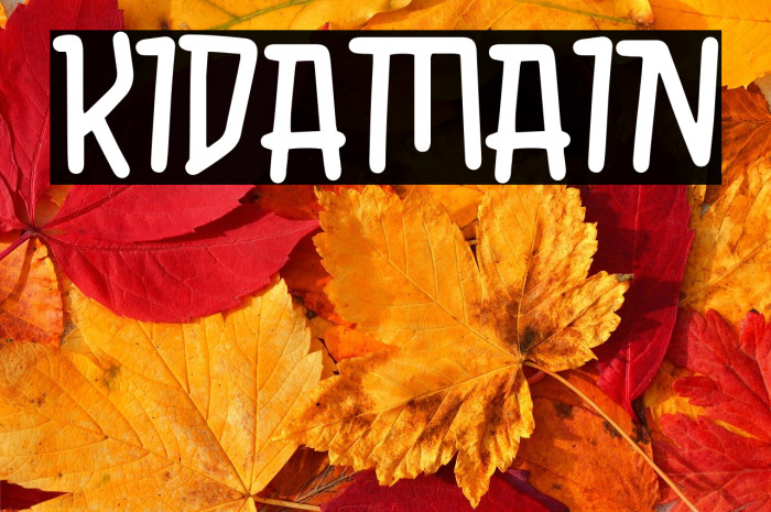 KIDAMAIN Example 2
