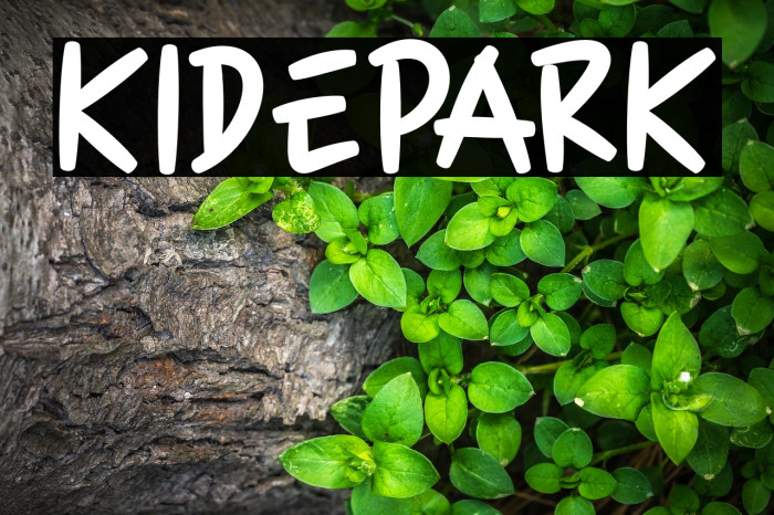 KIDEPARK Example 2