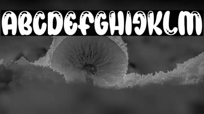 KIDS JOURNEY Fonte examples