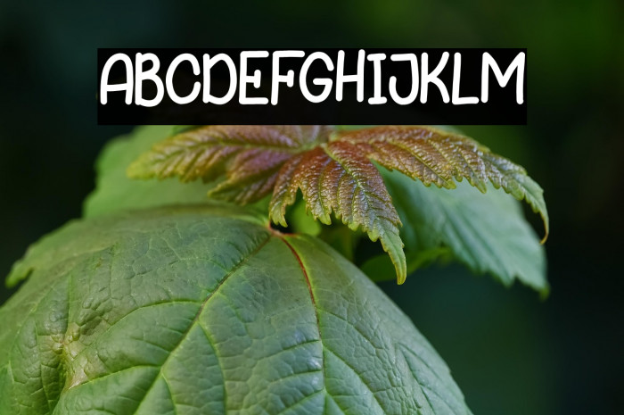 KIDSPLAY DEMO Example 2