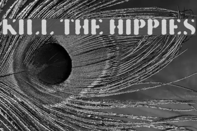 KILL THE HIPPIES Font examples