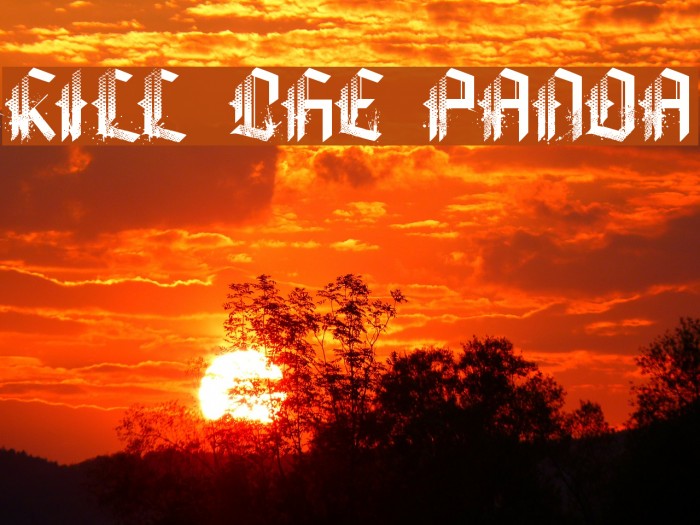 KILL THE PANDA Example 1