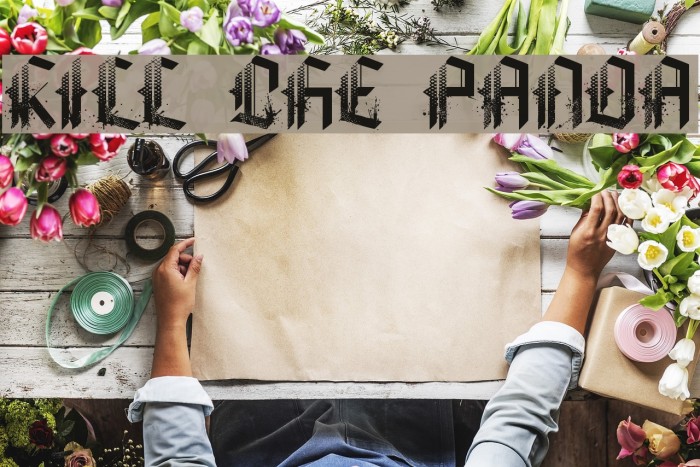 KILL THE PANDA Example 3