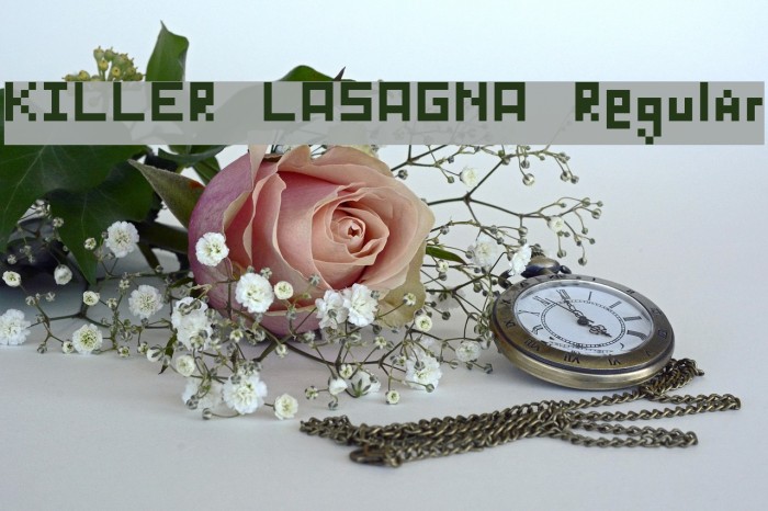 KILLER LASAGNA Regular Font examples