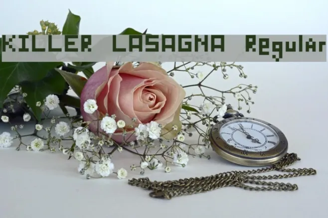 KILLER LASAGNA Regular Example 2