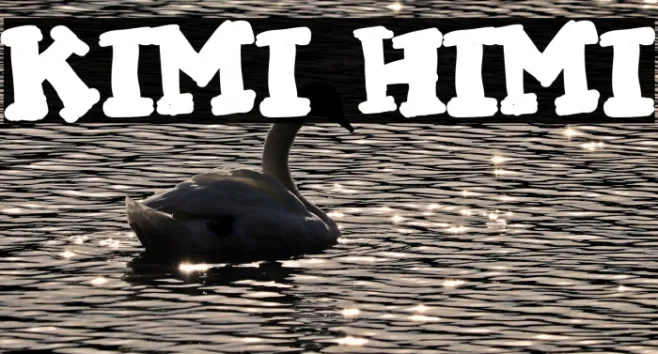 KIMI HIMI Example 3