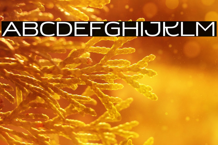 KINDER PRO Example 1