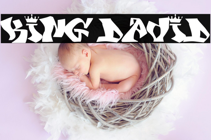 KING DAVID Example 1