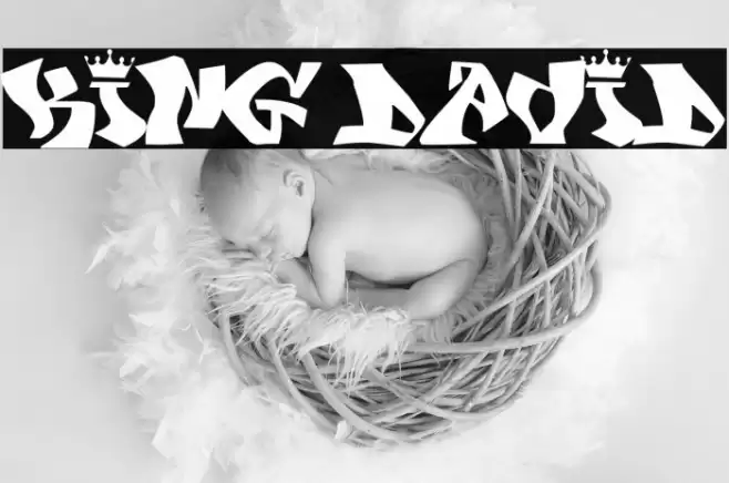 KING DAVID Font examples