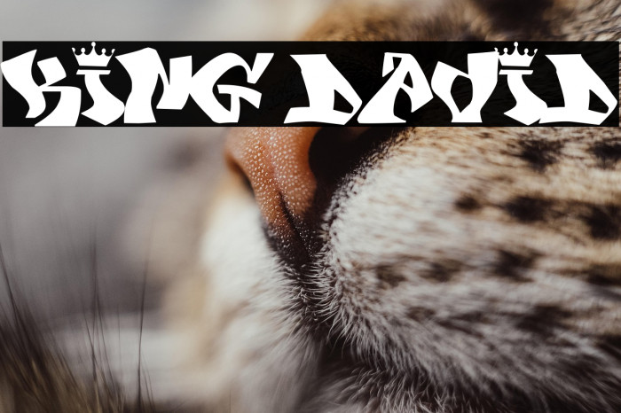 KING DAVID Example 3