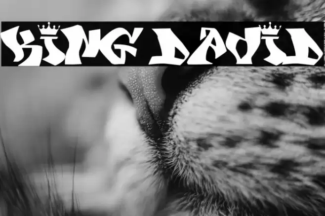 KING DAVID Font examples