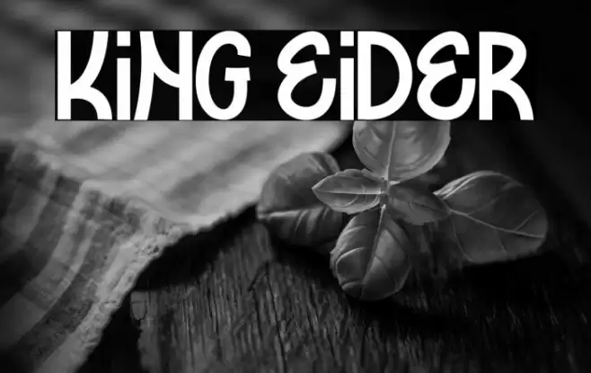 KING EIDER Font examples