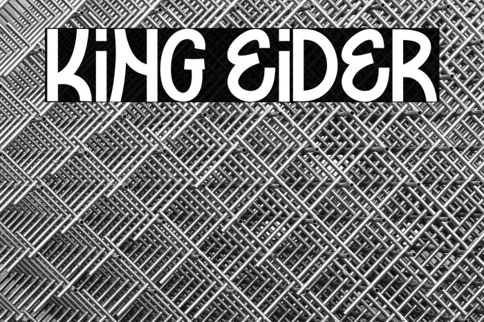 KING EIDER Example 2