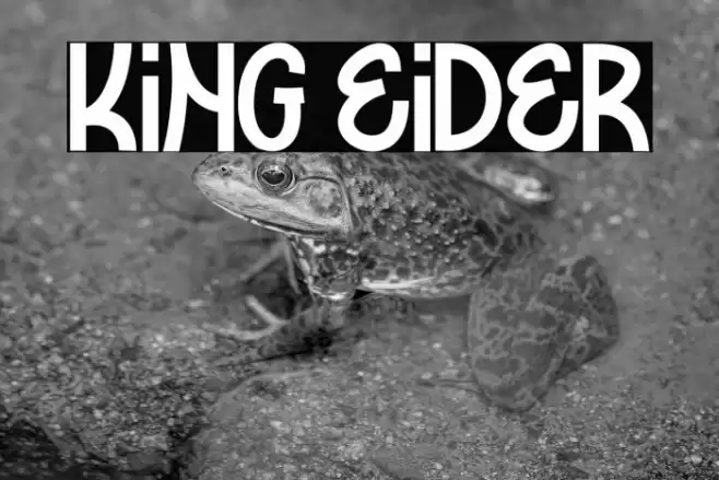 KING EIDER Font examples