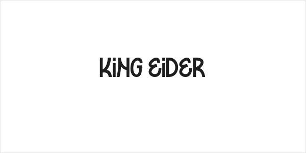KING EIDER Logo