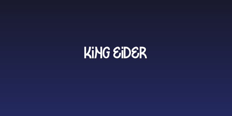 KING EIDER Social Header