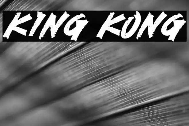 KING KONG Font examples