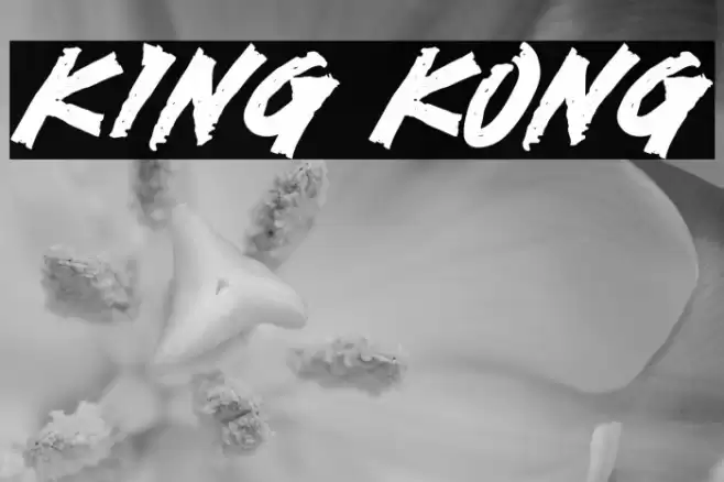 KING KONG Font examples