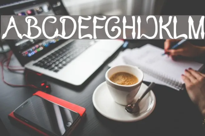 KING OF PIRATE Bold Example 1