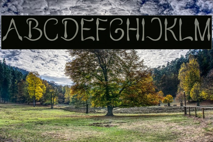 KING OF PIRATE-Inverse Example 1