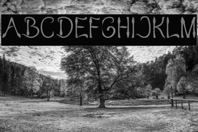 KING OF PIRATE-Inverse Font examples