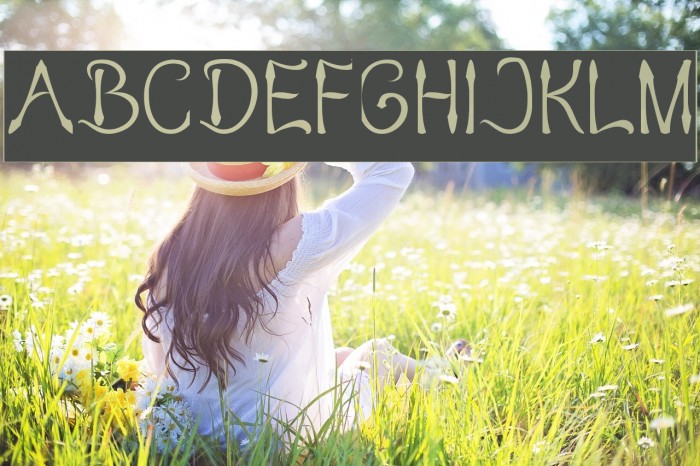 KING OF PIRATE-Inverse Example 3