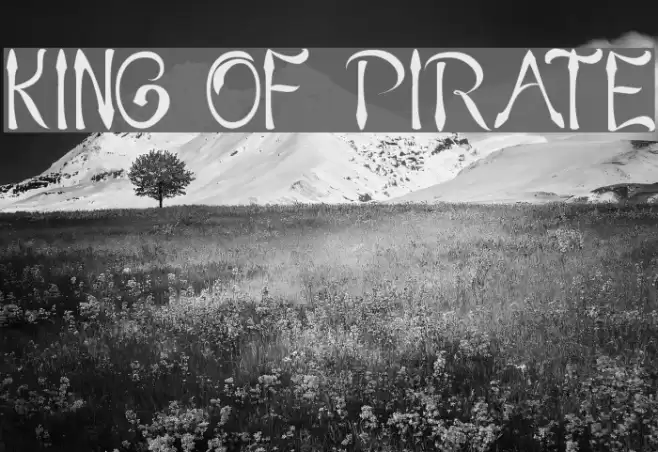 KING OF PIRATE Font examples