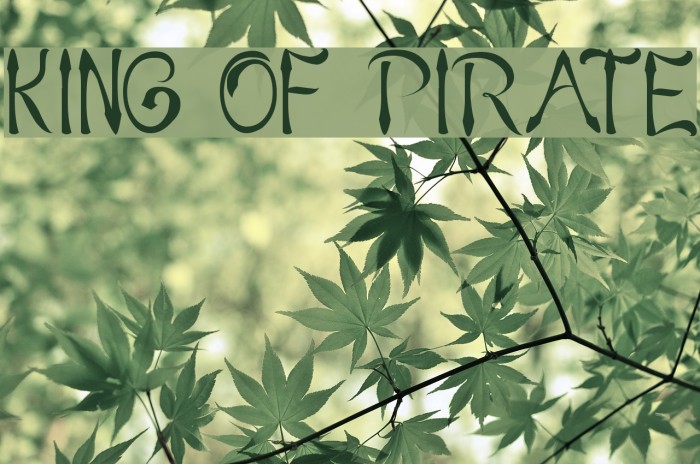KING OF PIRATE Example 3