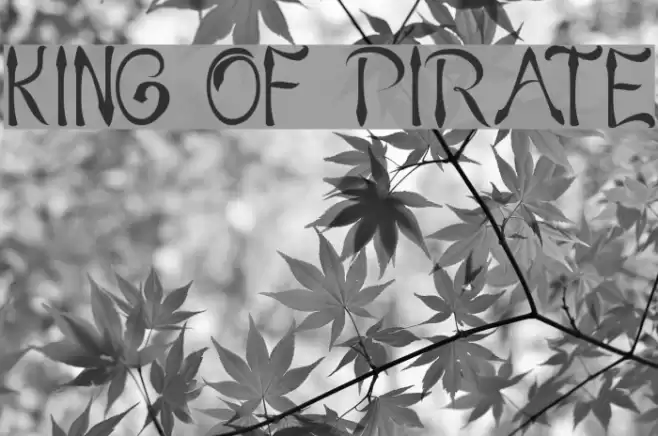 KING OF PIRATE Font examples