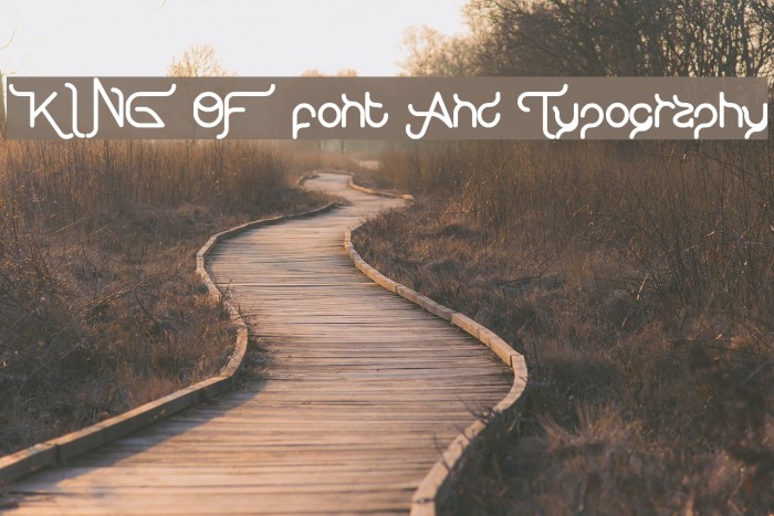 KING OF font And Typography Font examples
