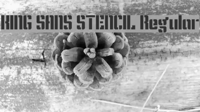 KING SANS STENCIL Regular Font examples