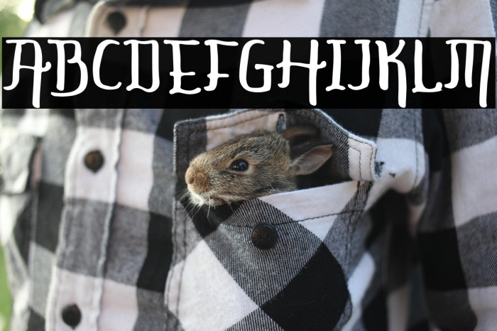 KINGDOM STORIA Example 2