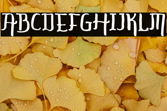 KINGDOM STORIA Example 3