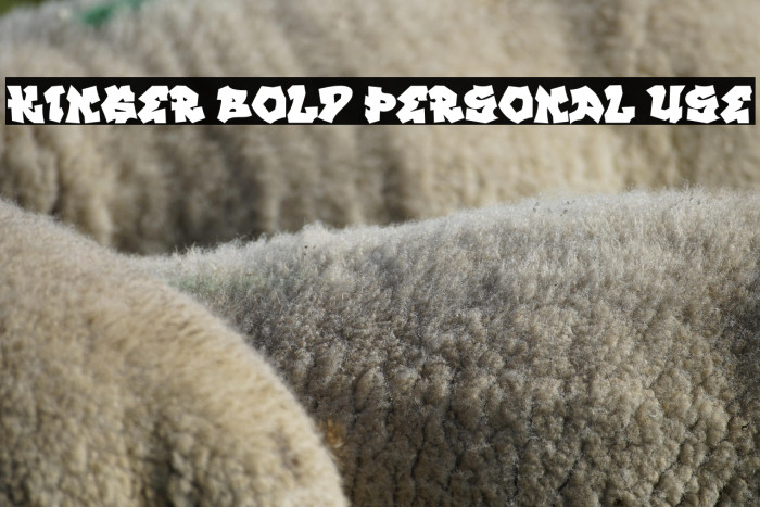 KINGER BOLD PERSONAL USE Example 1