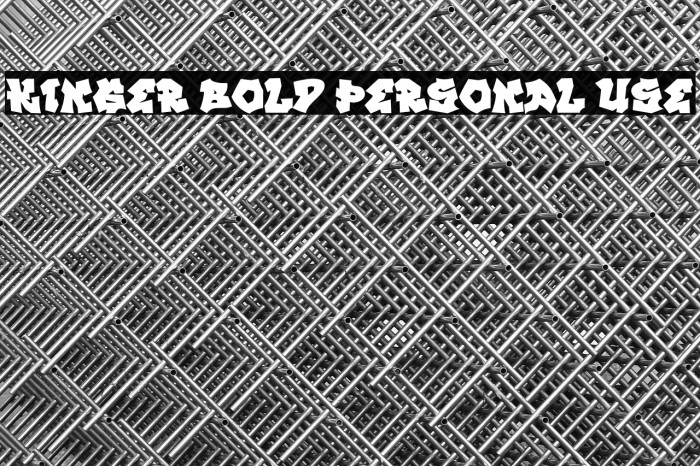 KINGER BOLD PERSONAL USE Example 2