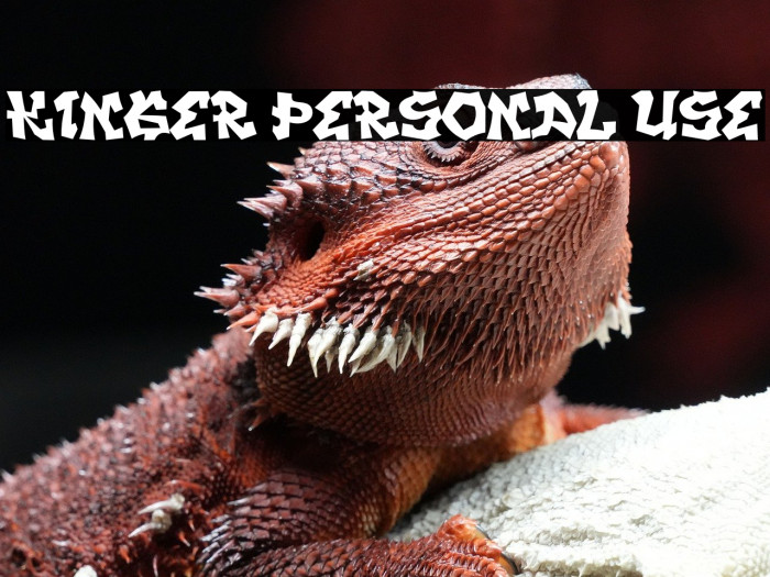 KINGER PERSONAL USE Example 2