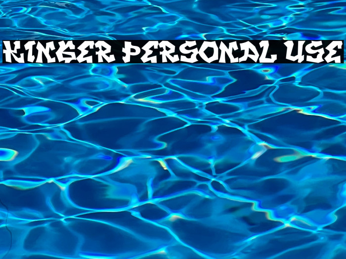 KINGER PERSONAL USE Example 3