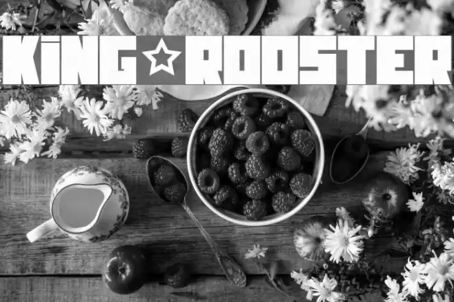 KING&ROOSTER Font examples