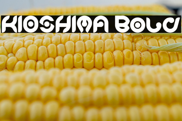 KIOSHIMA Bold Example 2