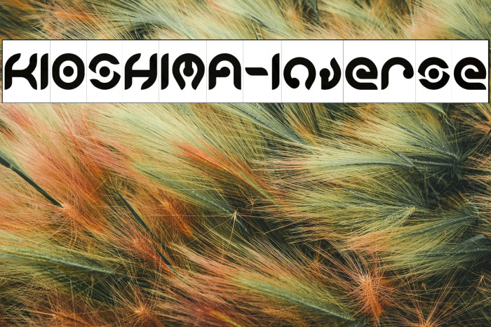 KIOSHIMA-Inverse Example 2