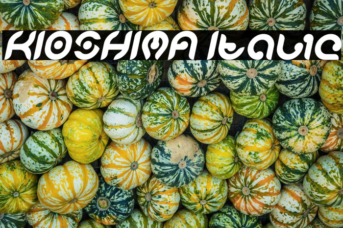 KIOSHIMA Italic Example 1