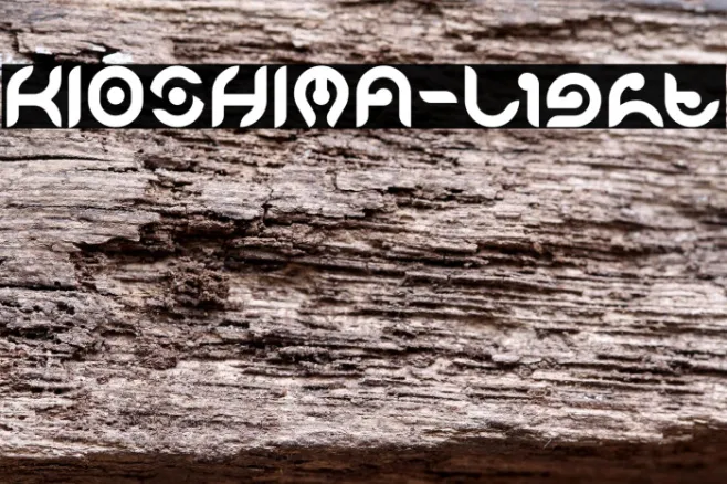 KIOSHIMA-Light Example 2